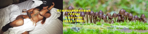MDMA Баксан
