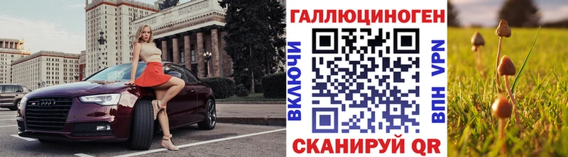 продажа наркотиков  Ульяновск  гидра вход  Псилоцибиновые грибы Psilocybine cubensis 
